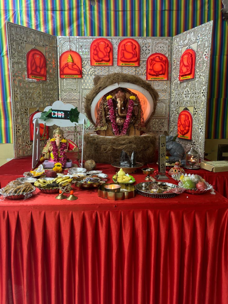 organ donors in India